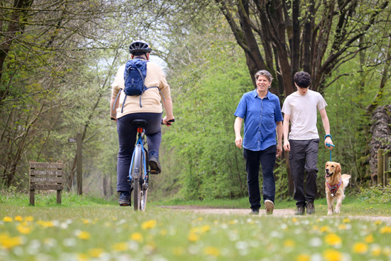 Dog walkers and a cyclist on the Tissington Trail