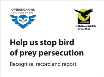 Operation Owl - PDF document