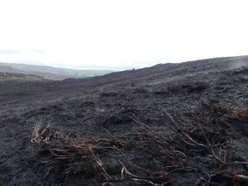 Aftermath of the fire at the Roaches