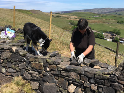 Sally Hodgson dry stone walling