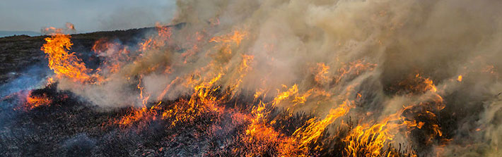 moorland fire in the Peak District